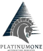 Platinum One Accounting Services